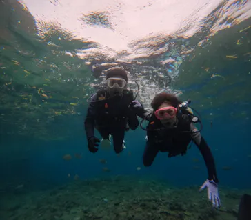 武藤潜水に投稿された画像（2023/11/2）