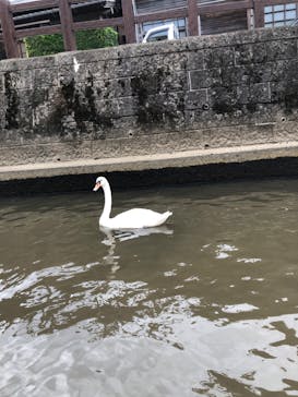 小江戸さわら 舟めぐりに投稿された画像（2023/11/2）