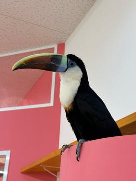 アニタッチ MARK IS 静岡に投稿された画像（2023/11/2）