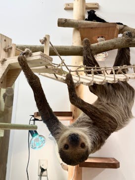 アニタッチ MARK IS 静岡に投稿された画像（2023/11/2）