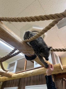 アニタッチ MARK IS 静岡に投稿された画像（2023/11/2）