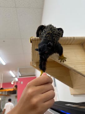 アニタッチ MARK IS 静岡に投稿された画像（2023/11/2）