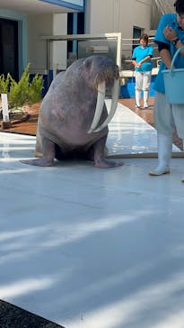 南知多ビーチランド＆南知多おもちゃ王国に投稿された画像（2023/11/2）