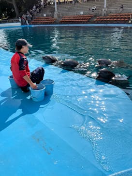 南知多ビーチランド＆南知多おもちゃ王国に投稿された画像（2023/11/2）