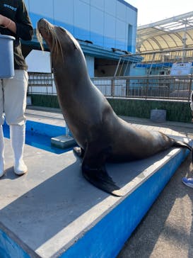 南知多ビーチランド＆南知多おもちゃ王国に投稿された画像（2023/11/2）