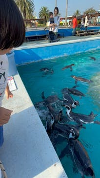 南知多ビーチランド＆南知多おもちゃ王国に投稿された画像（2023/11/2）