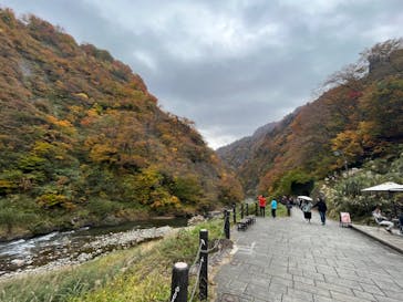 清津峡渓谷トンネルに投稿された画像（2023/11/2）