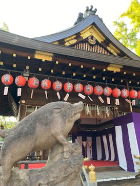 京阪電車に投稿された画像（2023/11/2）