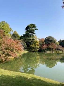 京阪電車に投稿された画像（2023/11/2）