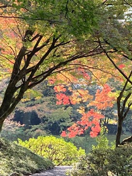 京阪電車に投稿された画像（2023/11/2）