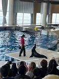 アクアワールド茨城県大洗水族館に投稿された画像（2023/11/2）