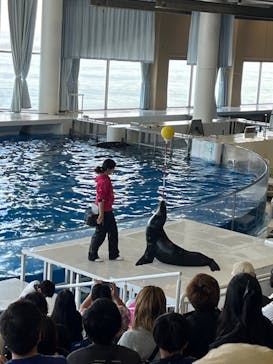 アクアワールド茨城県大洗水族館に投稿された画像（2023/11/2）