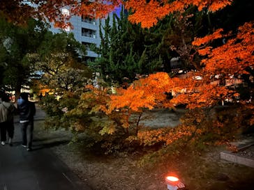 博多ライトアップウォーク実行委員会に投稿された画像（2023/11/2）