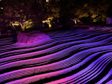 博多ライトアップウォーク実行委員会に投稿された画像（2023/11/2）