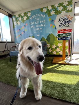 マウントジーンズ那須に投稿された画像（2023/11/2）