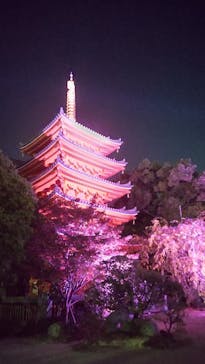 博多ライトアップウォーク実行委員会に投稿された画像（2023/11/2）