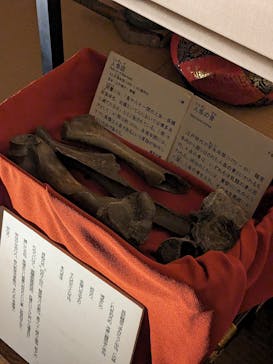 博多ライトアップウォーク実行委員会に投稿された画像（2023/11/2）