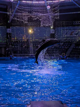 マクセル アクアパーク品川に投稿された画像（2023/11/2）