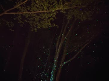 ムーミンバレーパークに投稿された画像（2023/11/2）