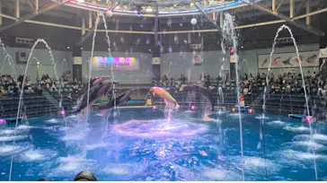 マクセル アクアパーク品川に投稿された画像（2023/11/2）