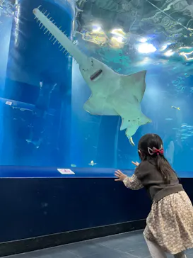 マクセル アクアパーク品川に投稿された画像（2023/11/2）