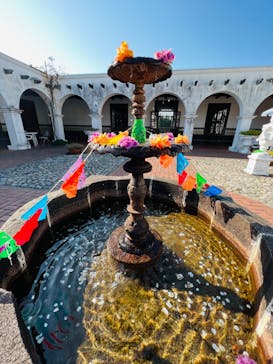 野外民族博物館 リトルワールドに投稿された画像（2023/11/2）