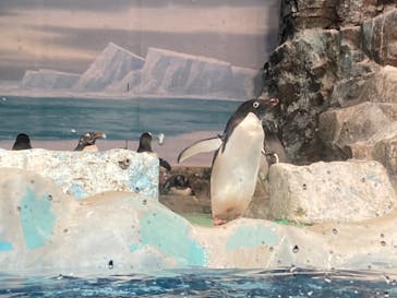 名古屋港水族館に投稿された画像（2023/11/3）