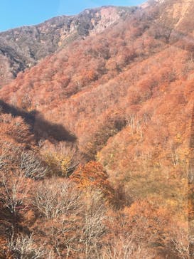 谷川岳ヨッホ by 星野リゾートに投稿された画像（2023/11/3）