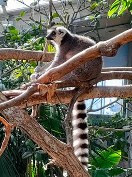 那須どうぶつ王国に投稿された画像（2023/11/3）