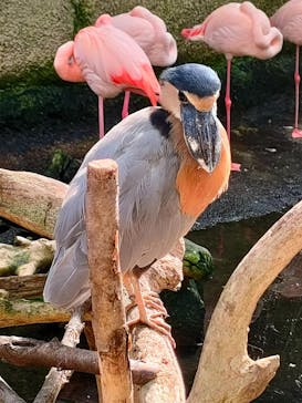 那須どうぶつ王国に投稿された画像（2023/11/3）