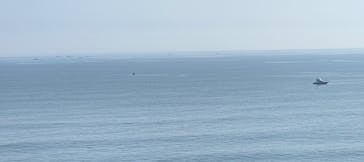 アクアワールド茨城県大洗水族館に投稿された画像（2023/11/3）