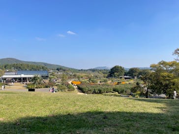 いばらきフラワーパークに投稿された画像（2023/11/3）