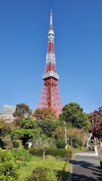 東京タワーに投稿された画像（2023/11/3）