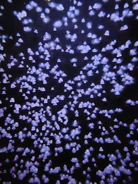 環境水族館アクアマリンふくしまに投稿された画像（2023/11/3）