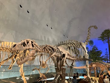 福井県立恐竜博物館に投稿された画像（2023/11/3）