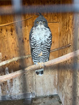 那須サファリパークに投稿された画像（2023/11/3）