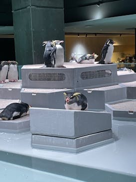 AOAO SAPPOROに投稿された画像（2023/11/3）