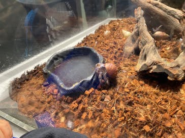 AOAO SAPPOROに投稿された画像（2023/11/3）