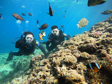 武藤潜水に投稿された画像（2023/11/3）