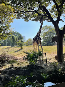 天王寺動物園に投稿された画像（2023/11/3）