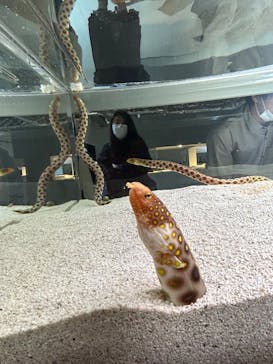 AOAO SAPPOROに投稿された画像（2023/11/3）