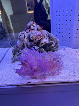 AOAO SAPPOROに投稿された画像（2023/11/3）