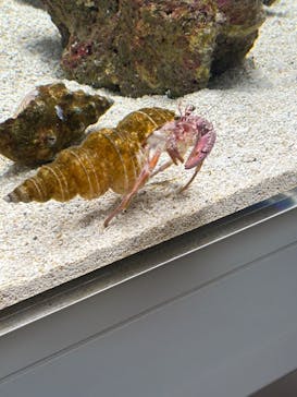 AOAO SAPPOROに投稿された画像（2023/11/3）