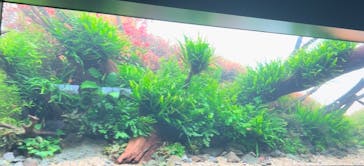 AOAO SAPPOROに投稿された画像（2023/11/3）