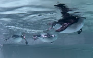 AOAO SAPPOROに投稿された画像（2023/11/3）