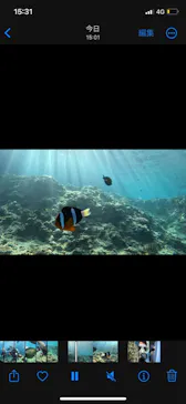 武藤潜水に投稿された画像（2023/11/3）