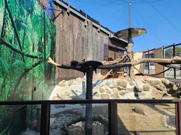 那須サファリパークに投稿された画像（2023/11/3）