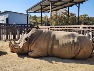 那須サファリパークに投稿された画像（2023/11/3）