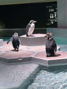 AOAO SAPPOROに投稿された画像（2023/11/3）