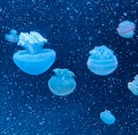 AOAO SAPPOROに投稿された画像（2023/11/3）